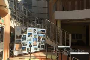 IMG_5320 школы Съёмки Москва