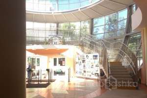 IMG_5323 школы Съёмки Москва