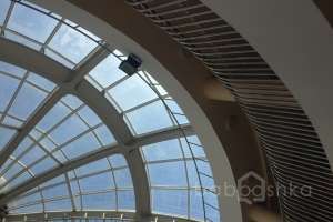 IMG_5338 школы Съёмки Москва