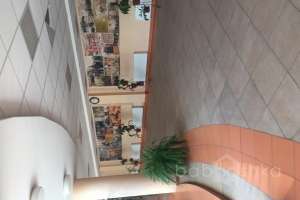 IMG_5341 школы Съёмки Москва