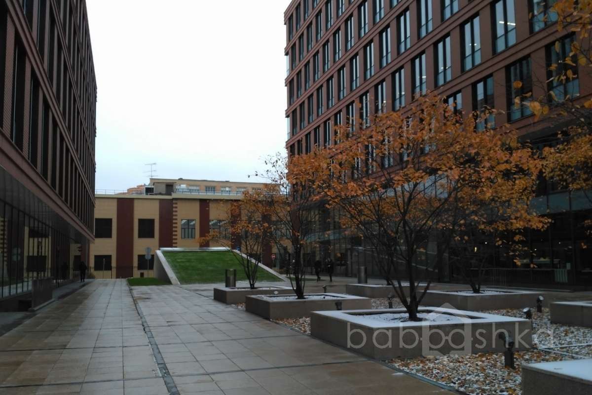 IMG_20171027_140458 территория 