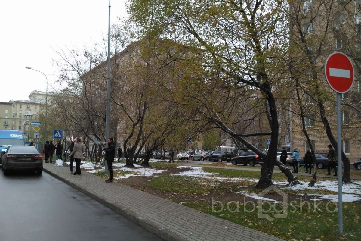 IMG_20171027_141201 территория 