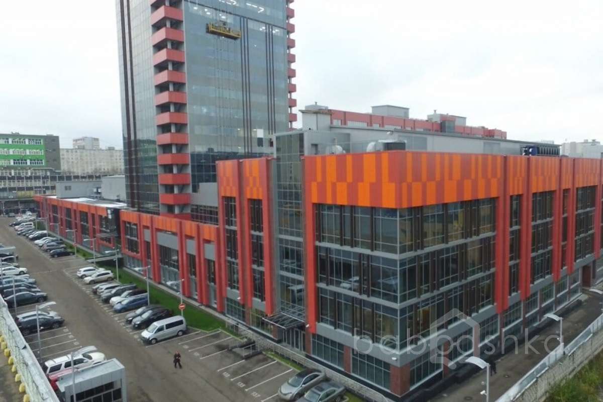 IMG_5228 территория 