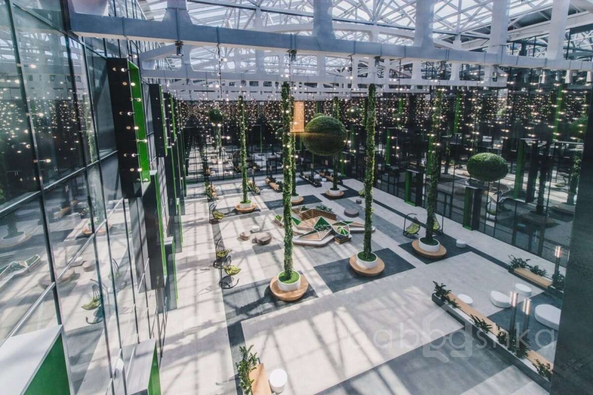 IMG_5232 территория 