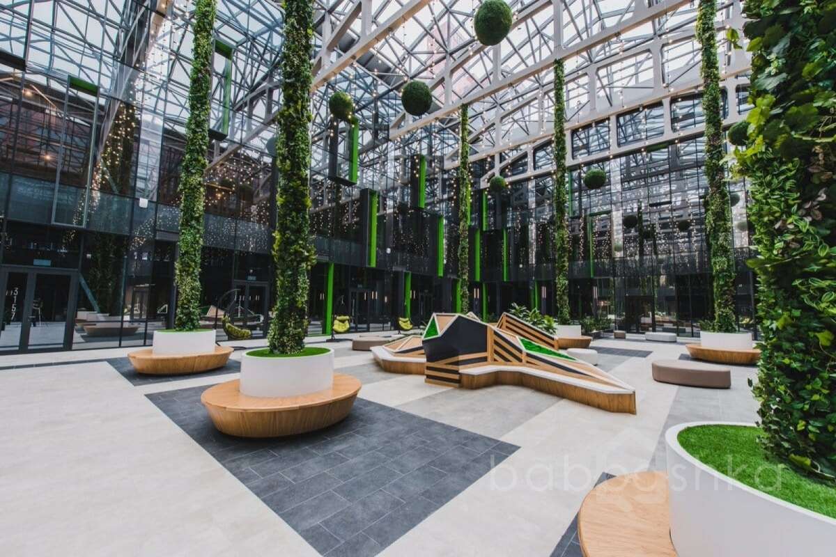 IMG_5231 территория 