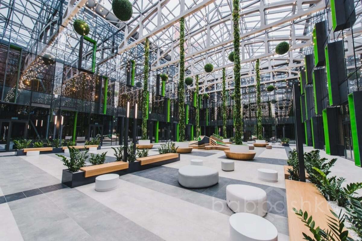 IMG_5230 территория 