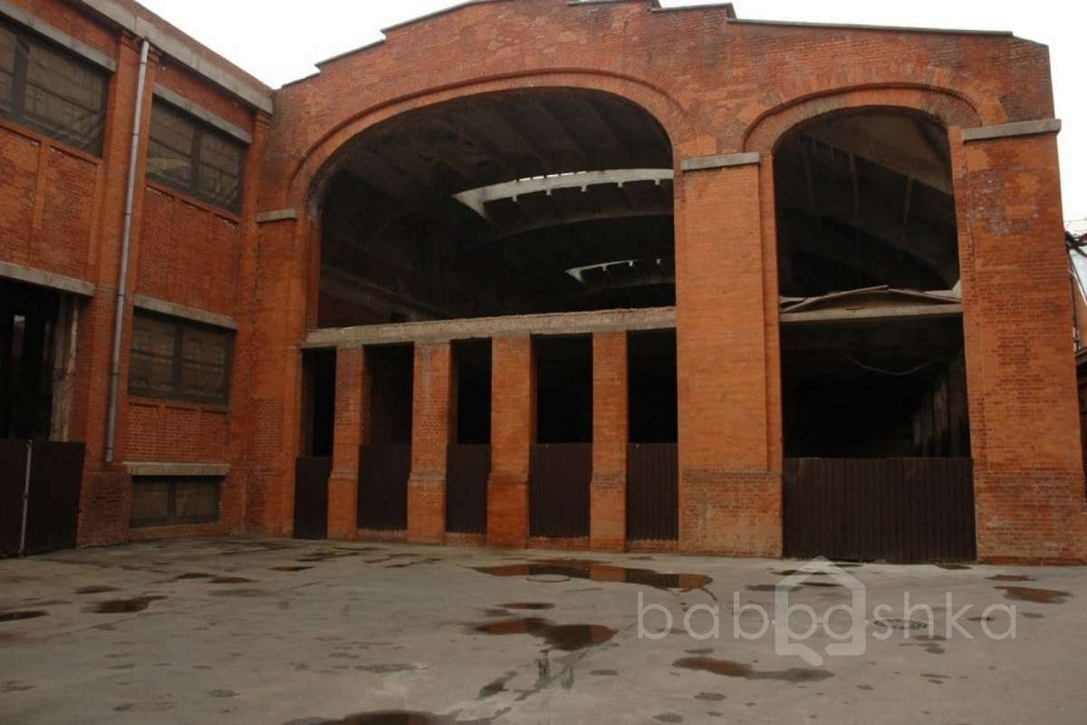 DSC_1552 территория 