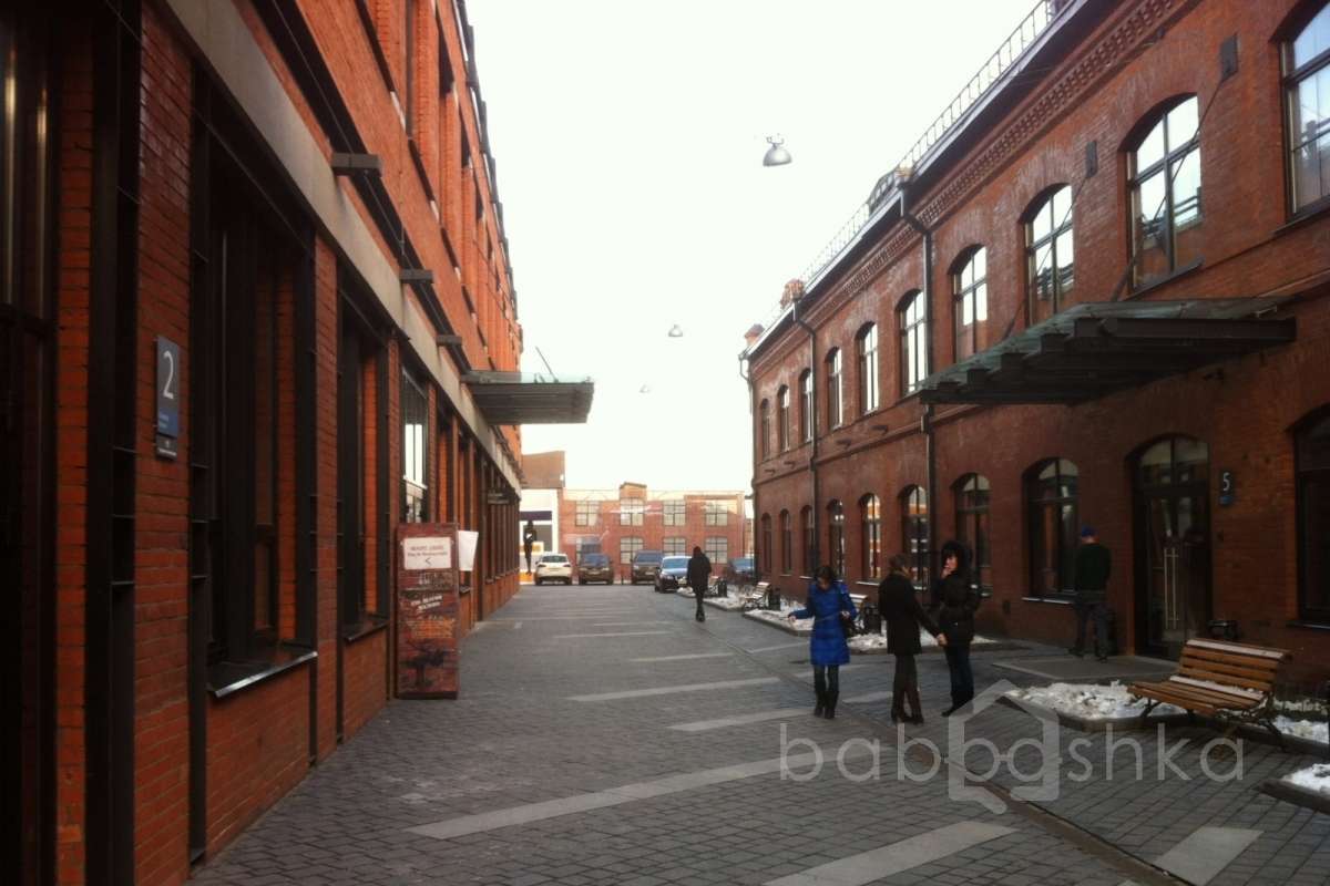 IMG_2419 территория 