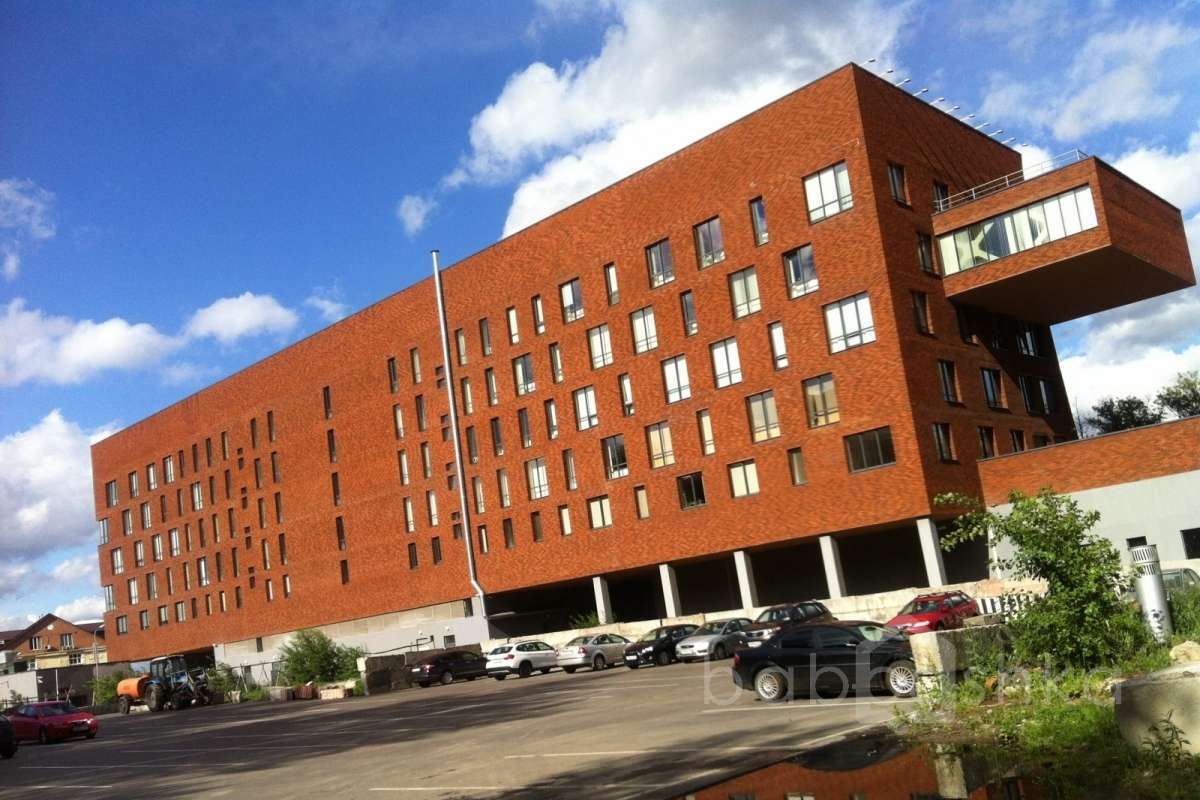 IMG_3898 территория 