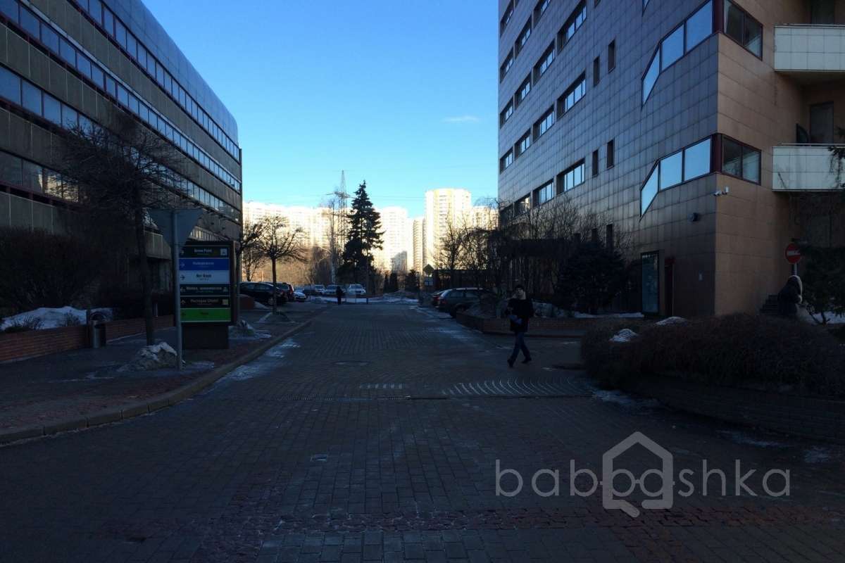 IMG_0099 территория 