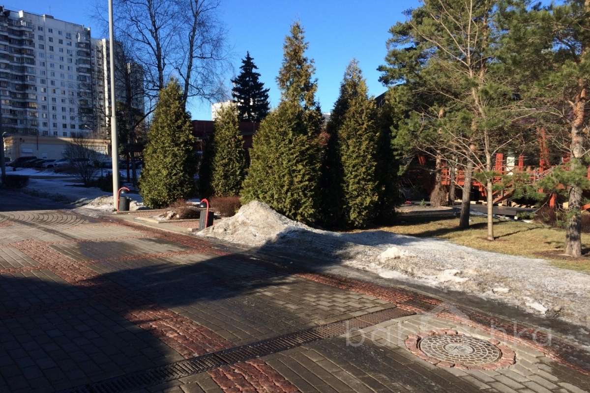 IMG_0105 территория 