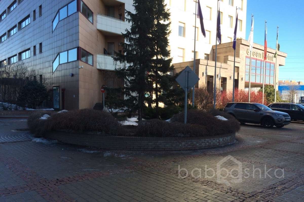 IMG_0100 территория 