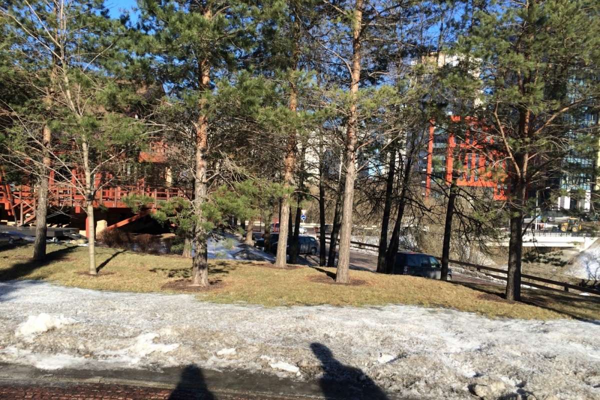 IMG_0107 территория 