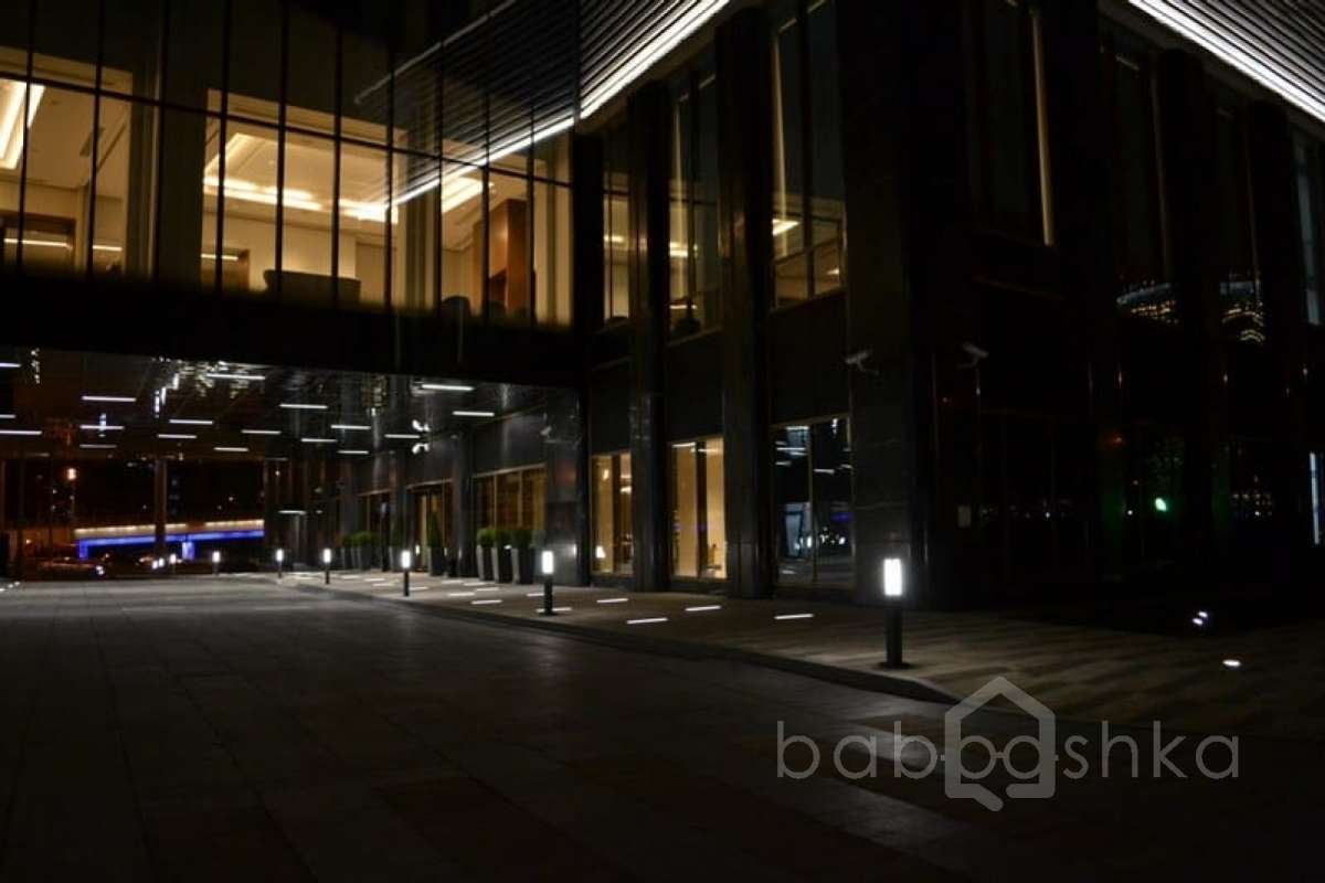 DSC_0403 территория 