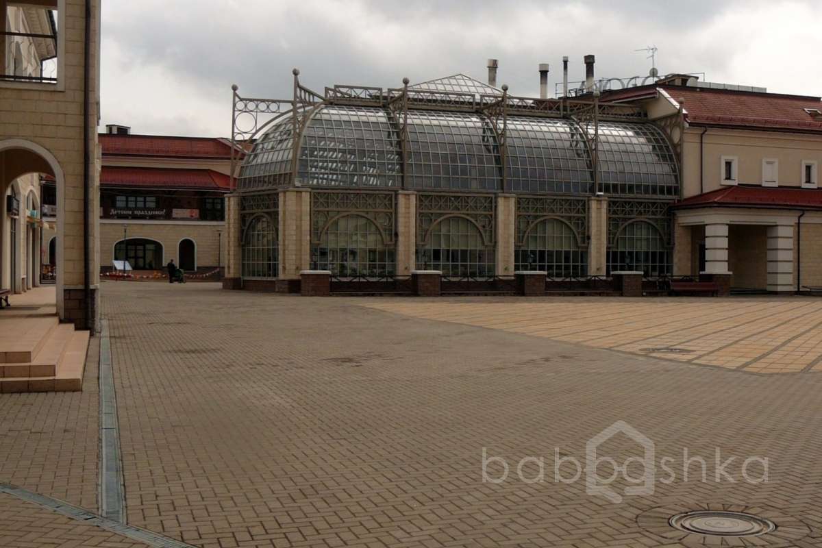 P1220396 территория 