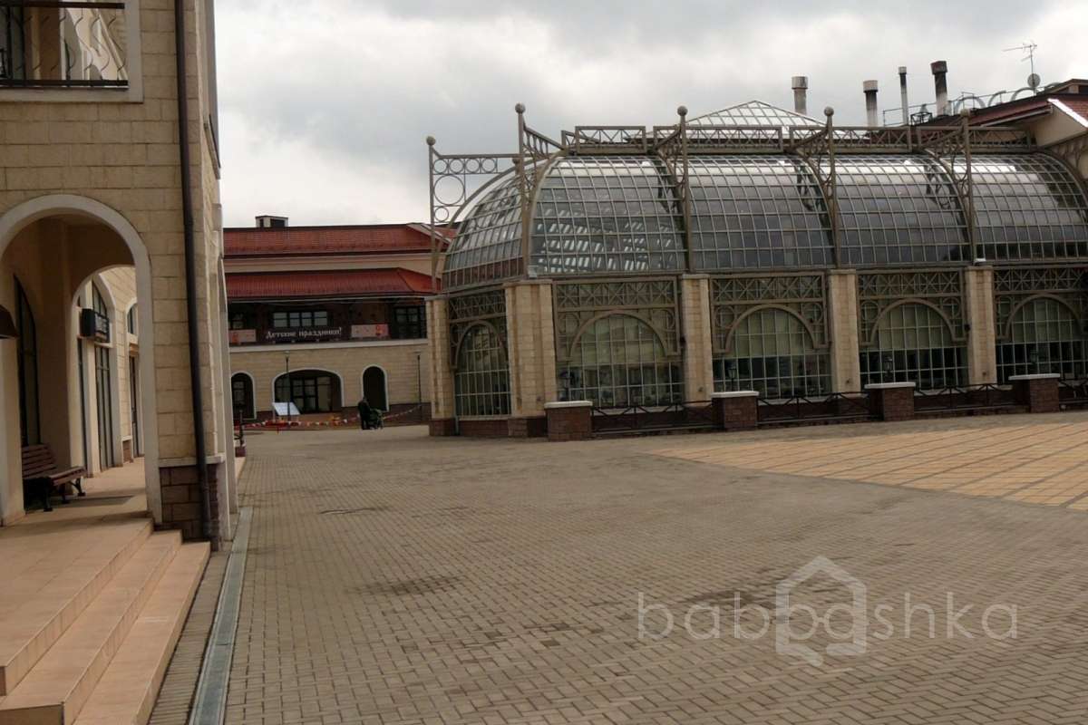 P1220398 территория 