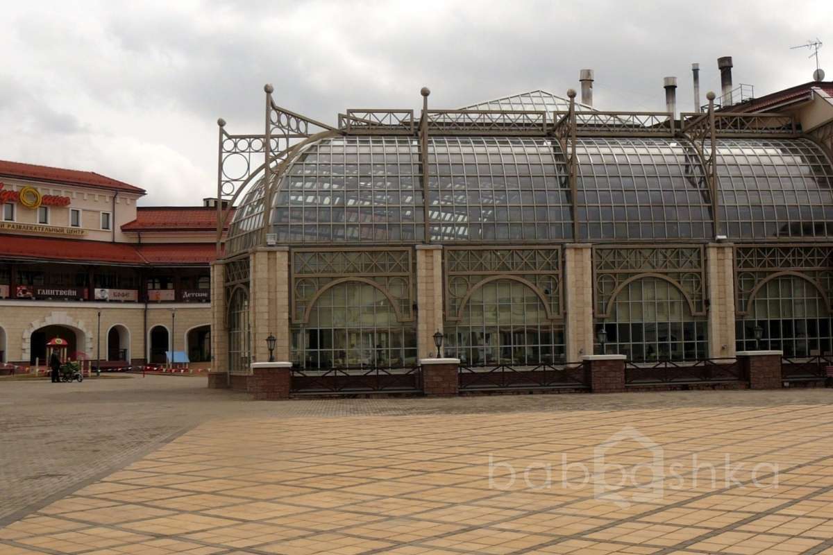 P1220410 территория 