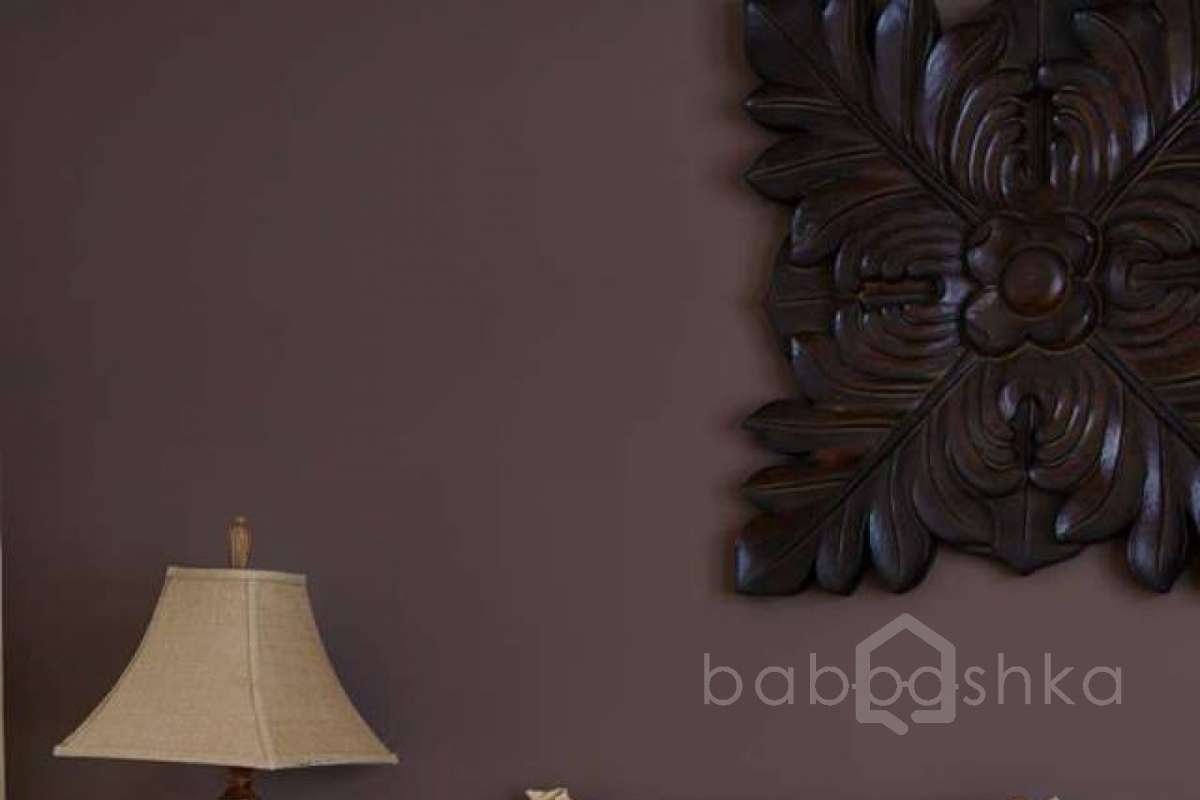 10434029_844697108947568_2984087485413337589_n дома 