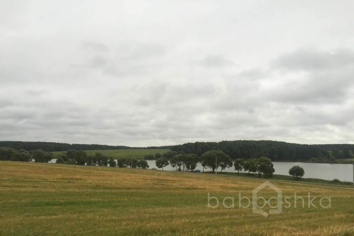 IMG_9570%20(2) лес 