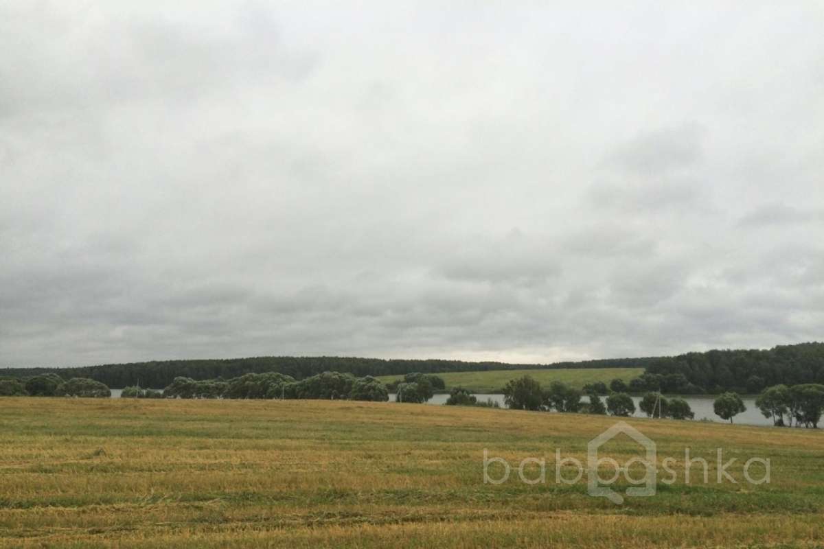 IMG_9586%20(1) лес 