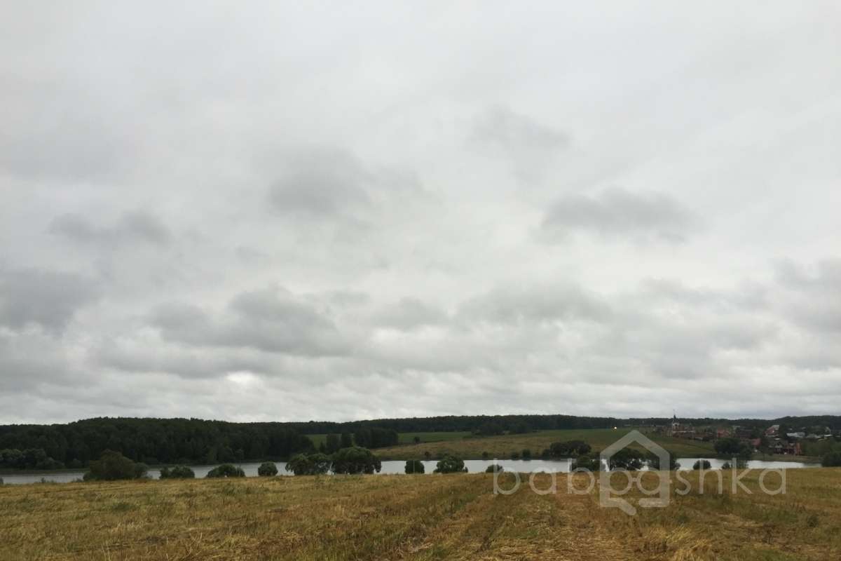 IMG_9580%20(2) лес 