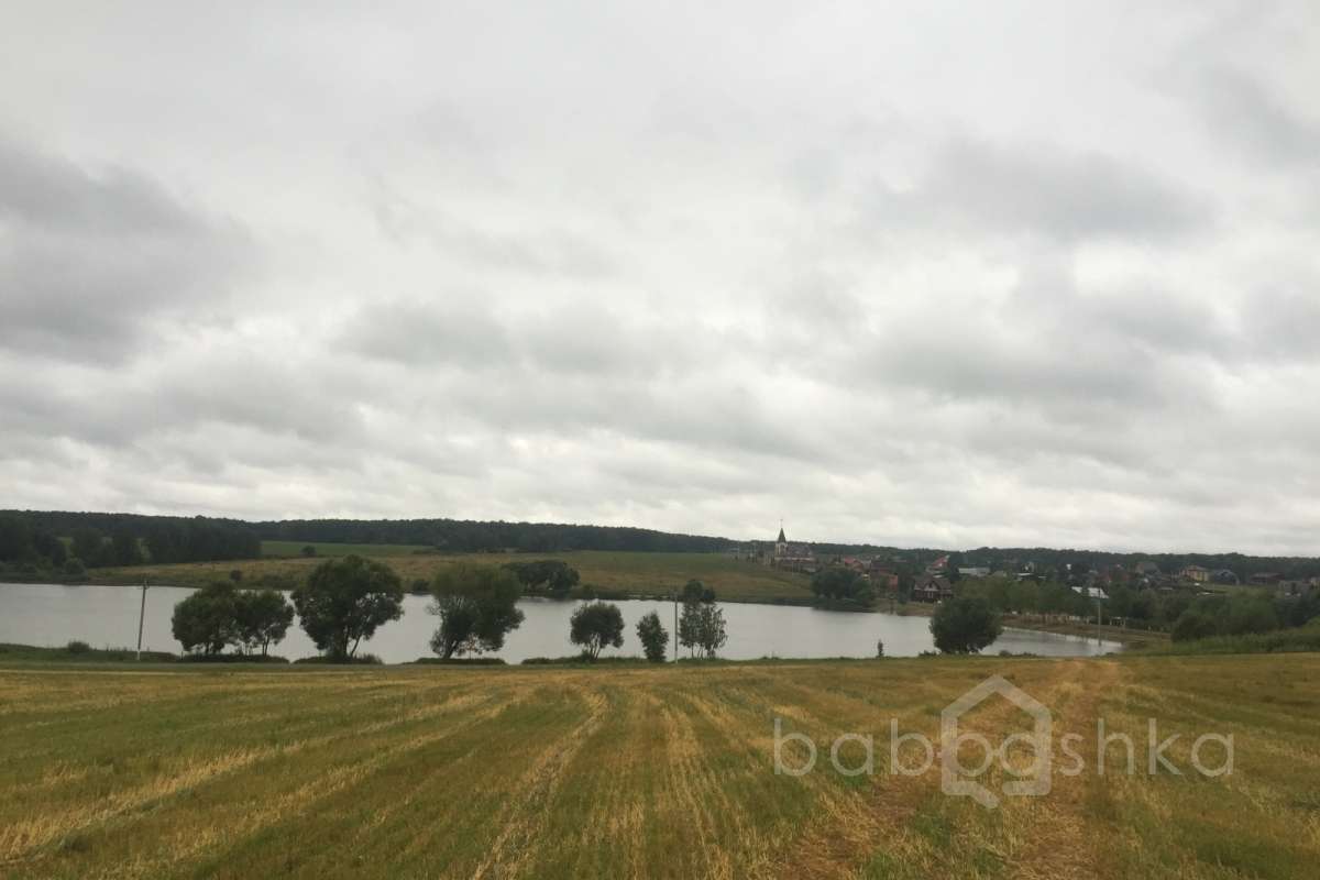 IMG_9571%20(2) лес 