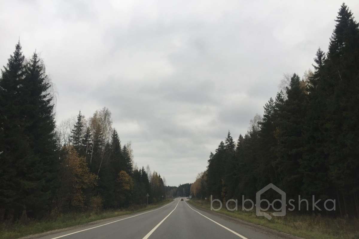 IMG_8185 дороги 