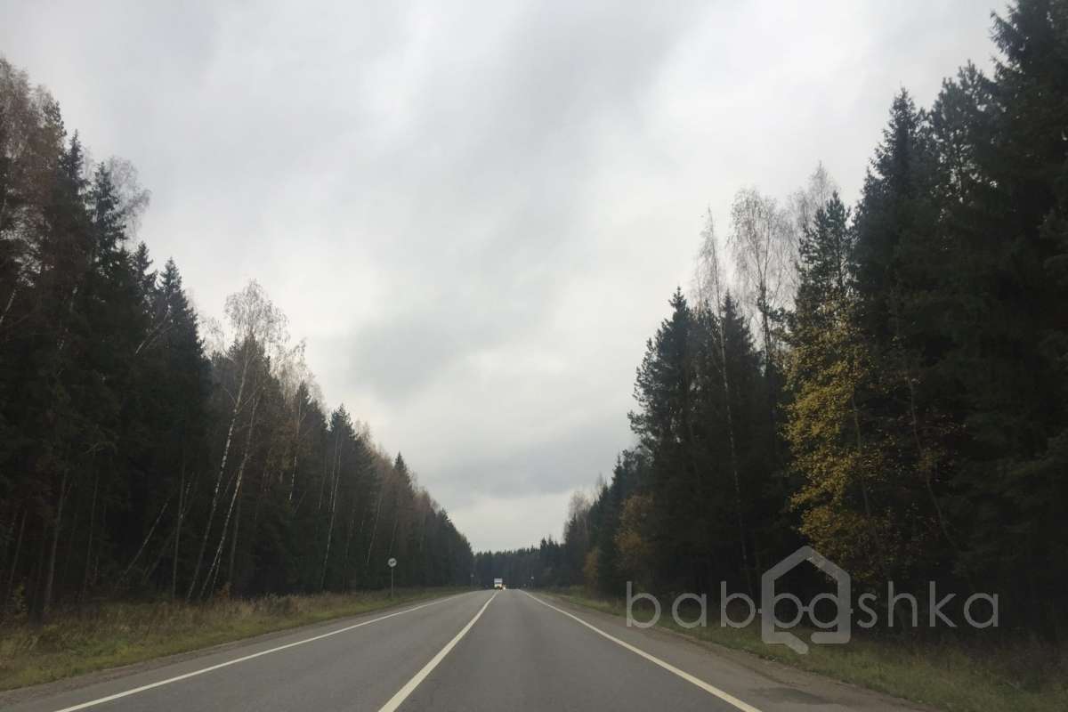 IMG_8182 дороги 