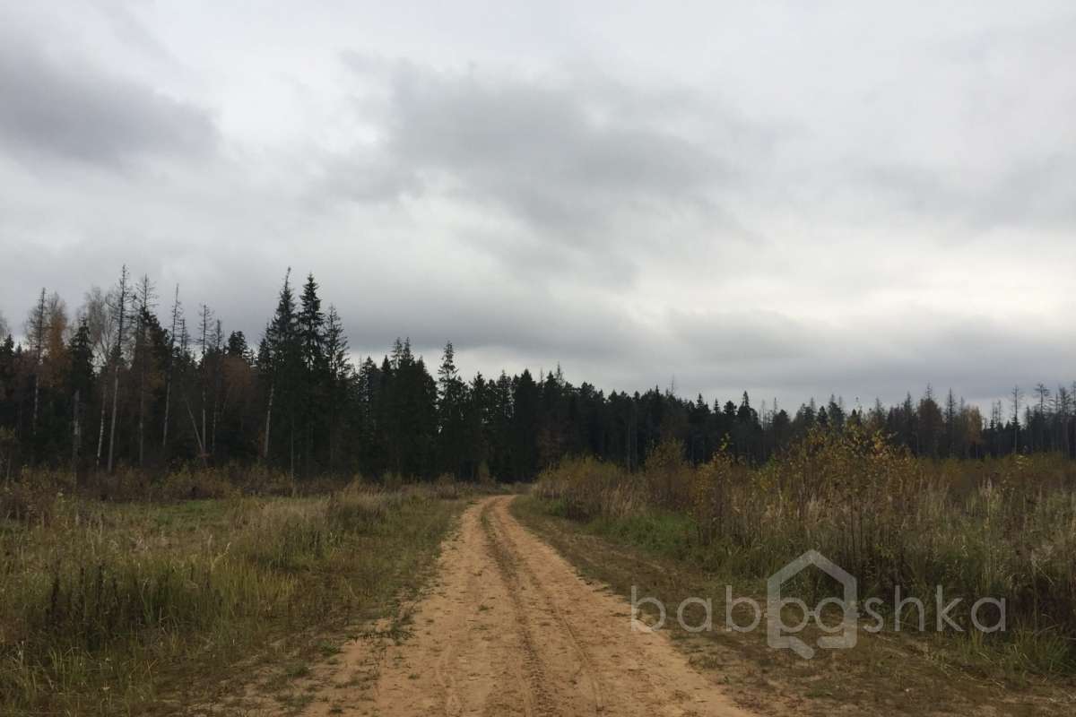 IMG_8210 дороги 