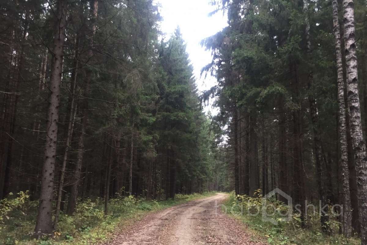 IMG_8191 дороги 