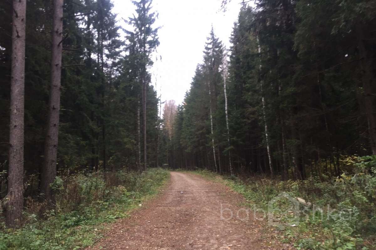 IMG_8188 дороги 