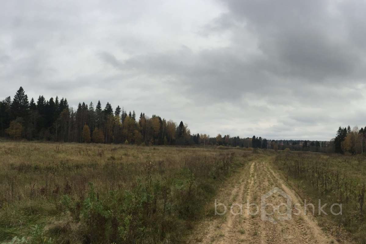 IMG_8212 дороги 