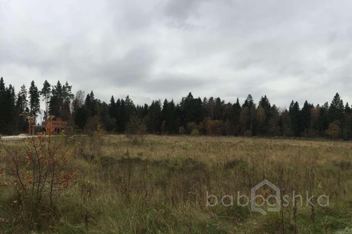 IMG_8211 дороги 