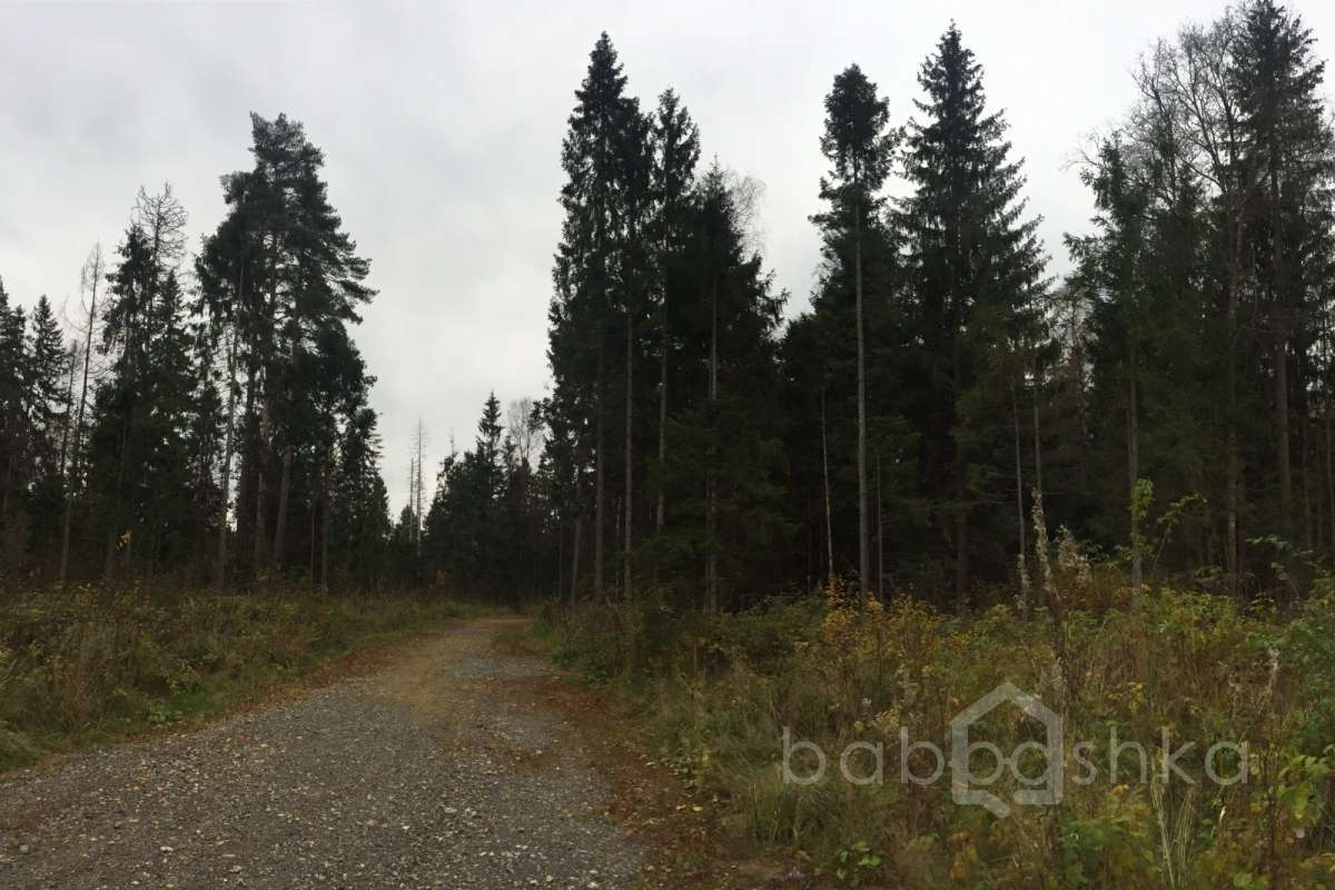 IMG_8209 дороги 