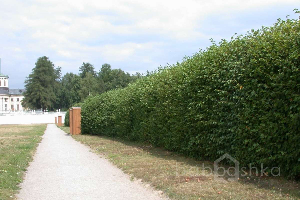 DSCN3707 дворцы и усадьбы 