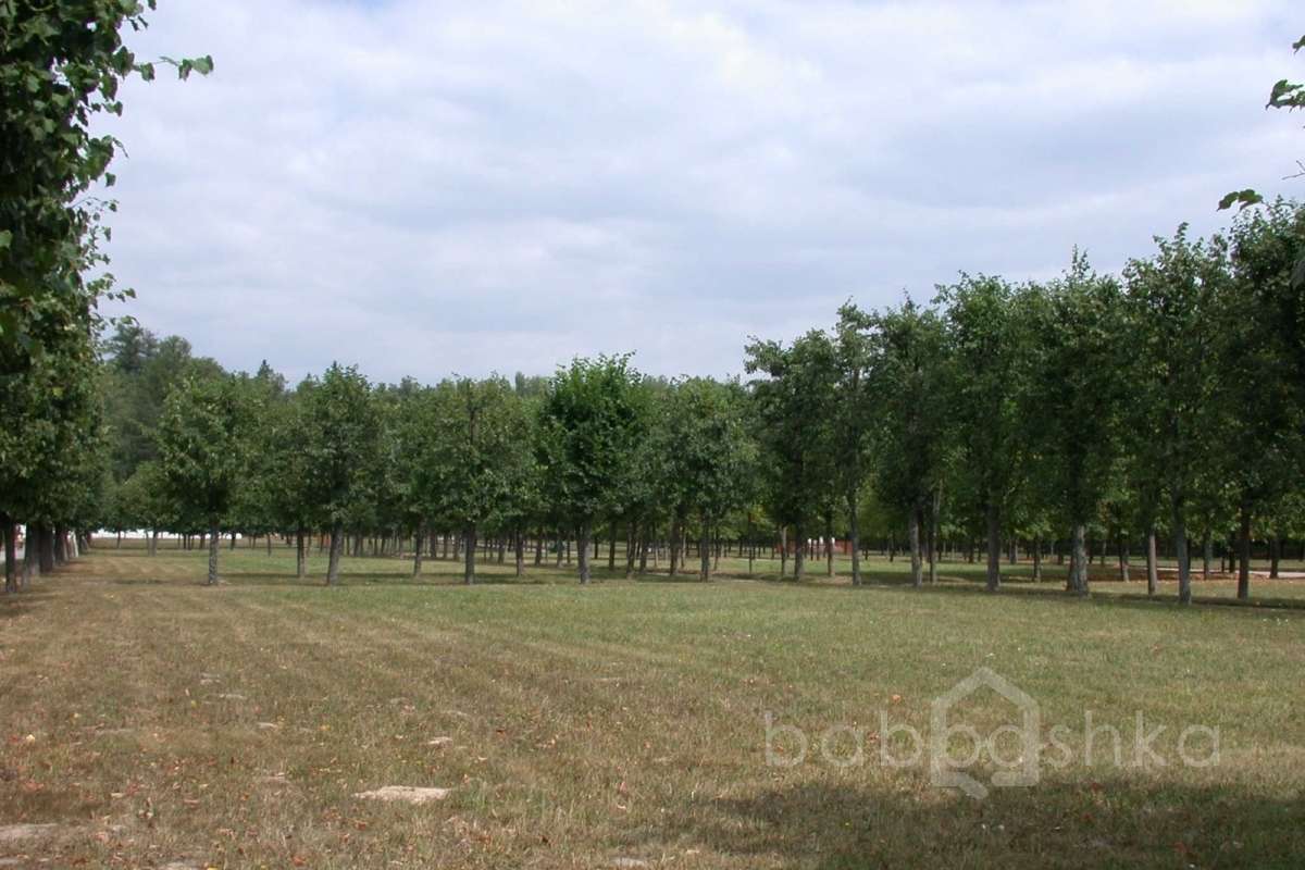 DSCN3704 дворцы и усадьбы 