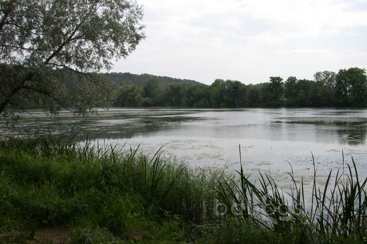 DSCN3730 дворцы и усадьбы 