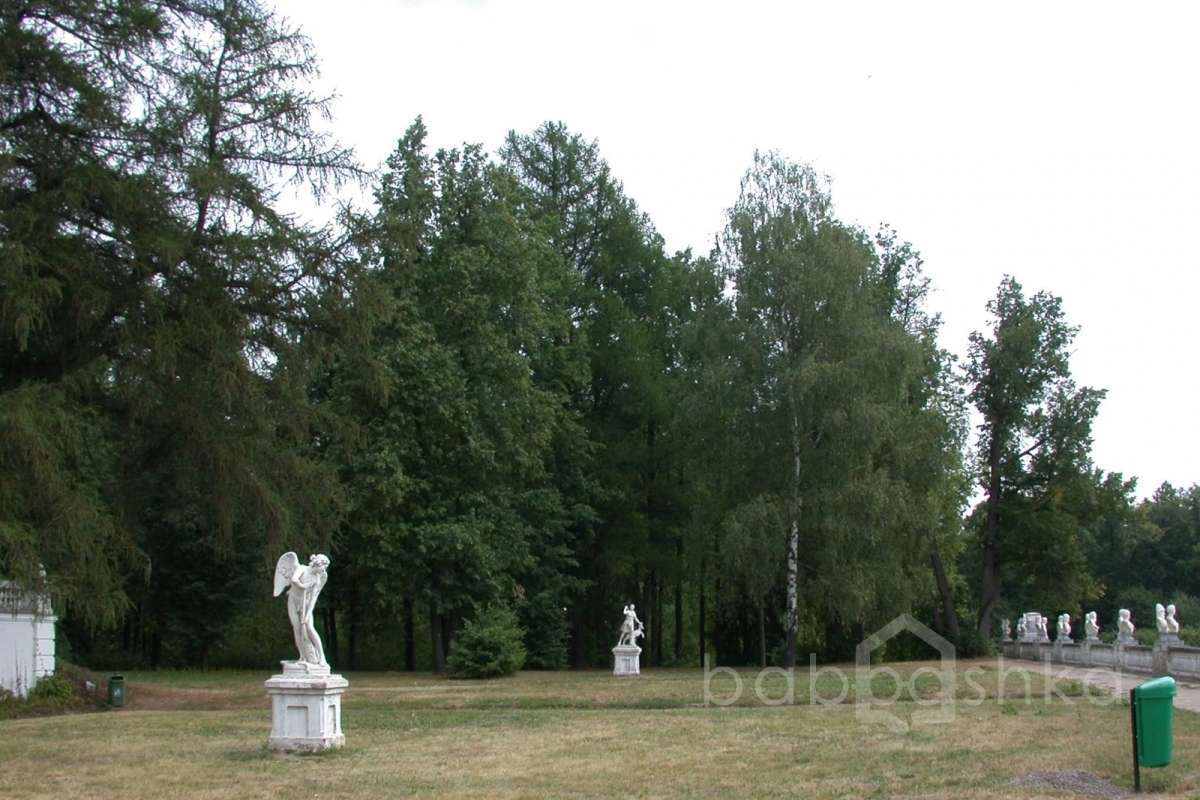 DSCN3710 дворцы и усадьбы 