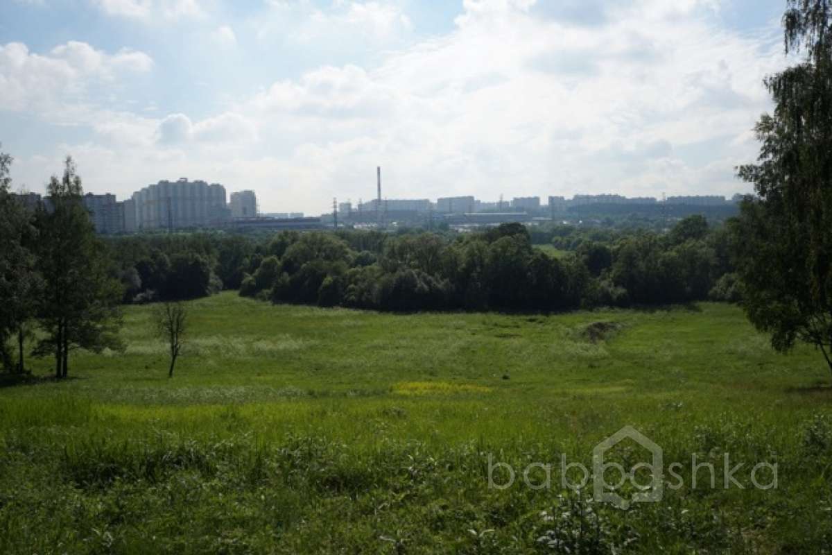 DSC03649. дворцы и усадьбы 