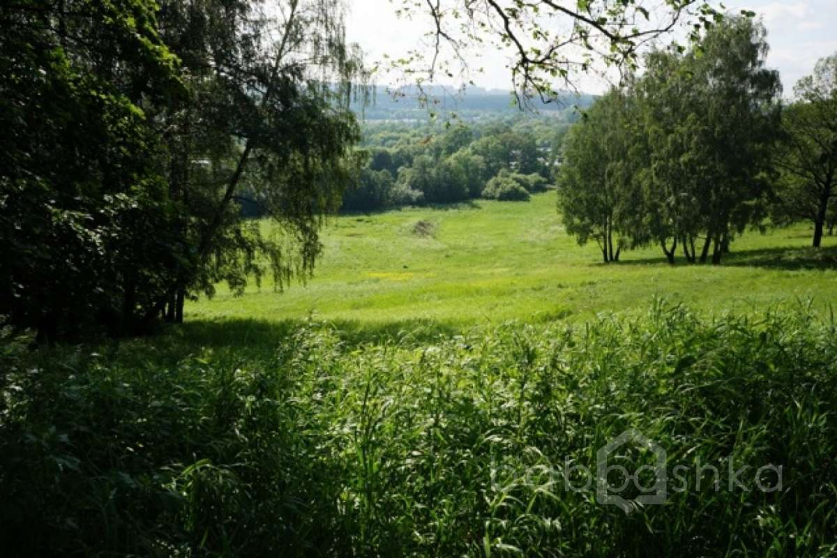 DSC03641. дворцы и усадьбы 