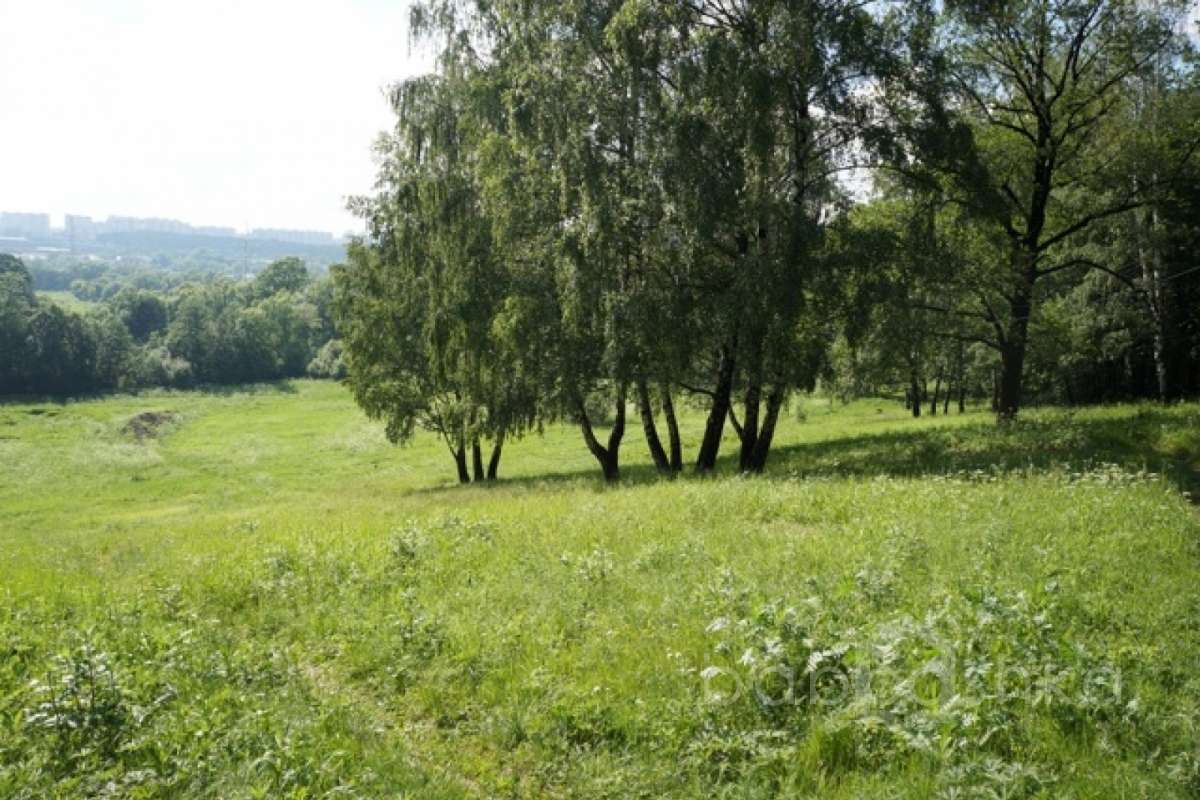 DSC03644. дворцы и усадьбы 