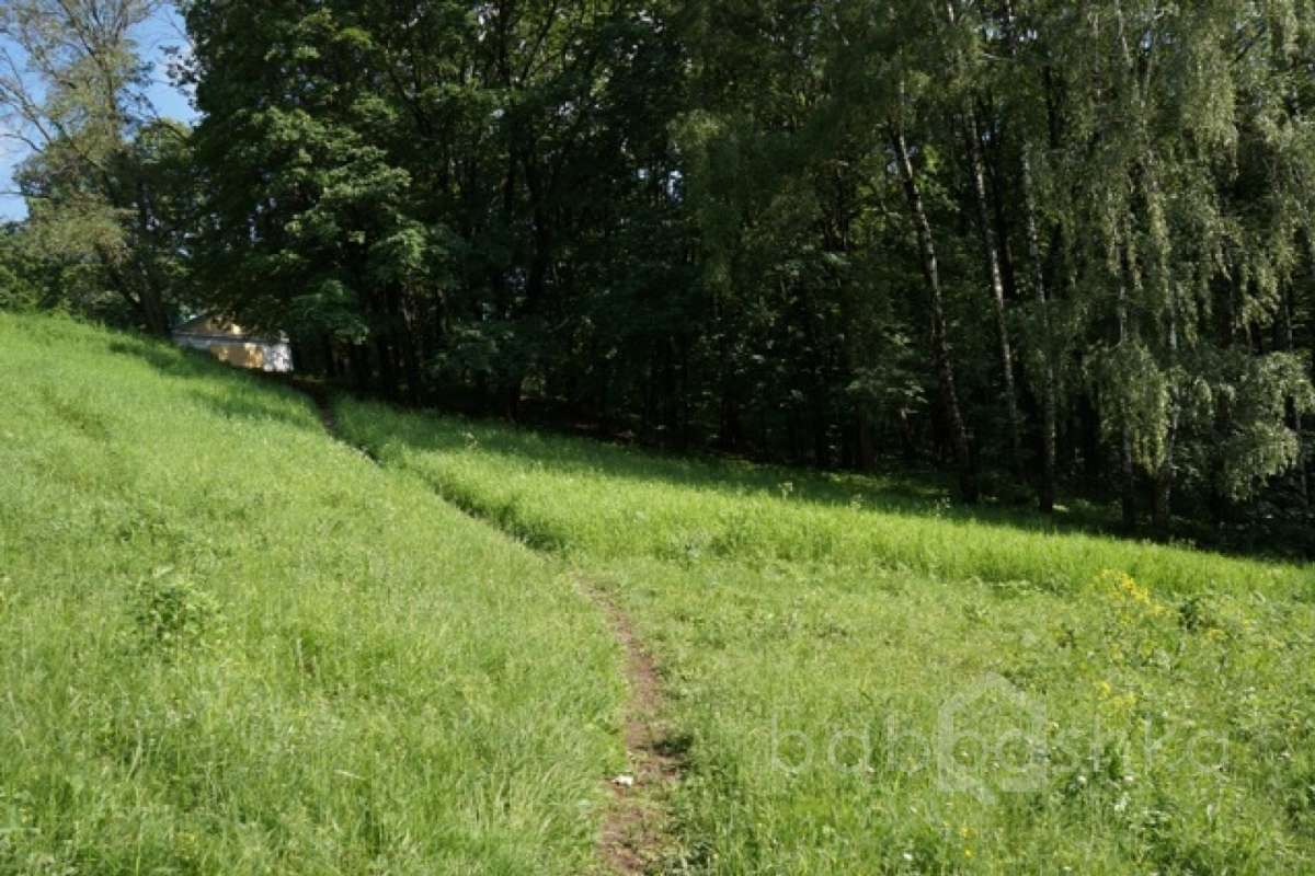 DSC03647. дворцы и усадьбы 