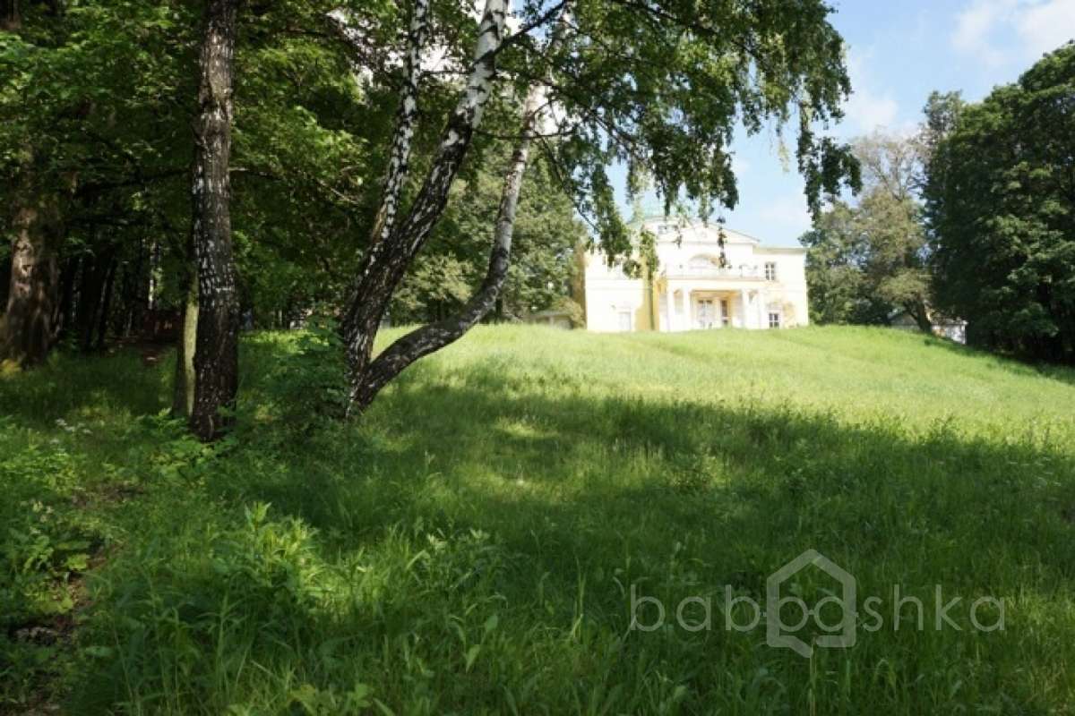 DSC03650. дворцы и усадьбы 