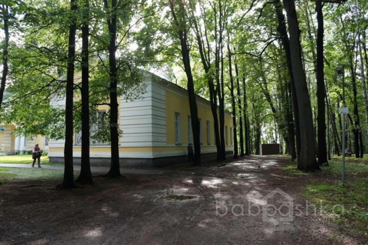 DSC03669. дворцы и усадьбы 