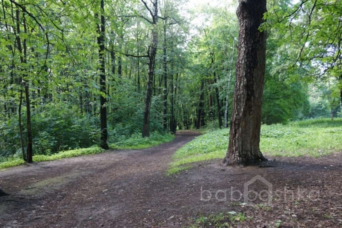 DSC03661. дворцы и усадьбы 