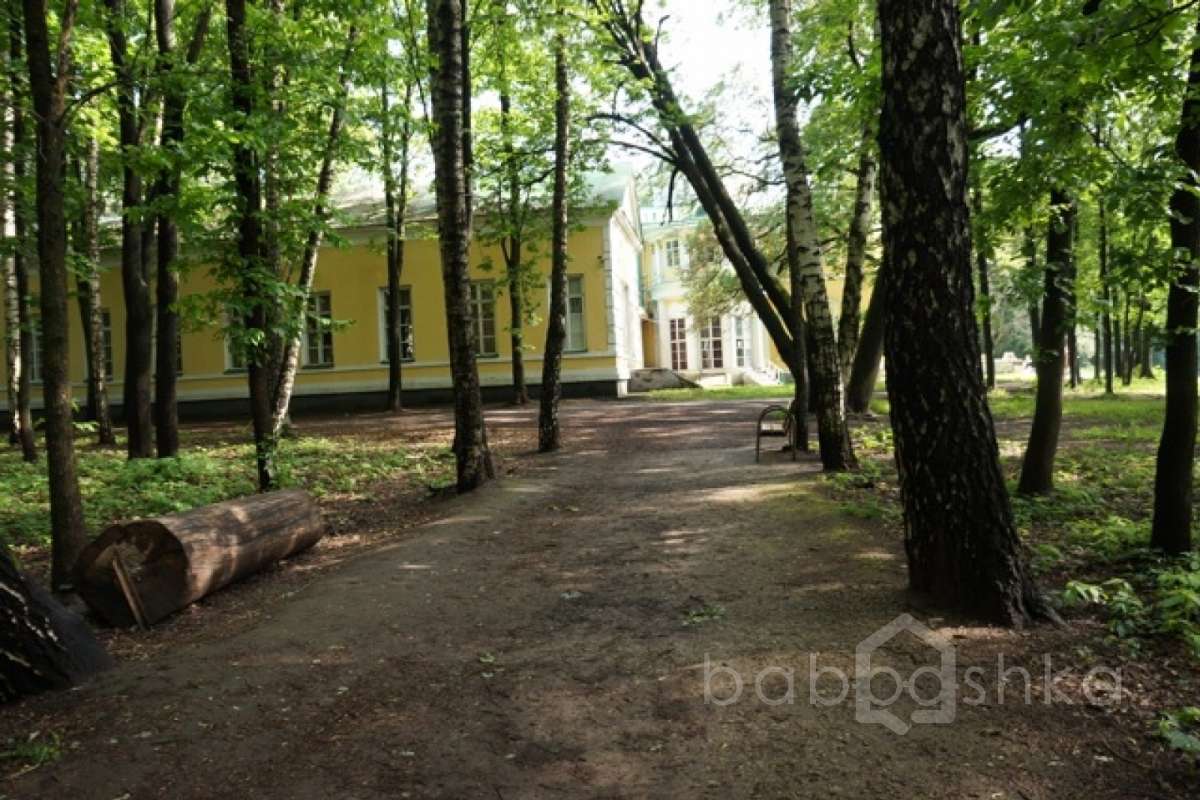 DSC03666. дворцы и усадьбы 