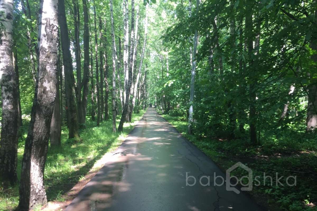 2018-06-05%2013-36-55%20(13). парки 