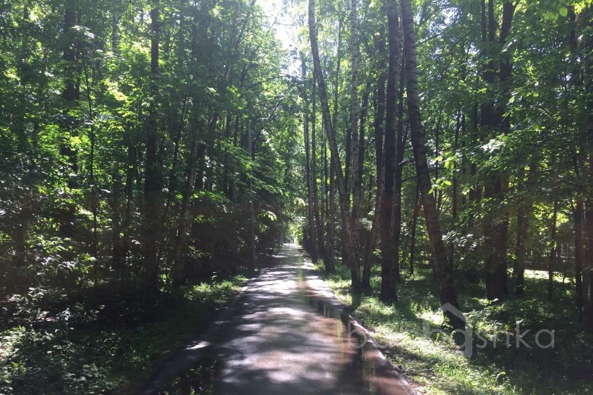 2018-06-05%2013-36-55%20(14). парки 