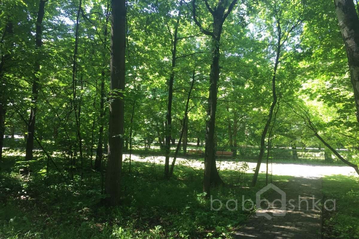 2018-06-05%2013-36-55%20(15). парки 