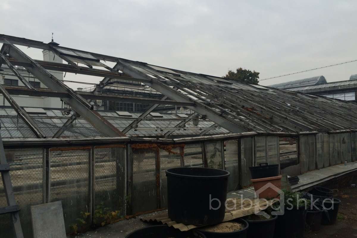 IMG_6493 дворцы и усадьбы 